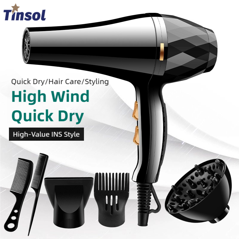 Cold Air Diffuser Nebulizer - TINSOL Professional Hair Dryer, High-Power Negative